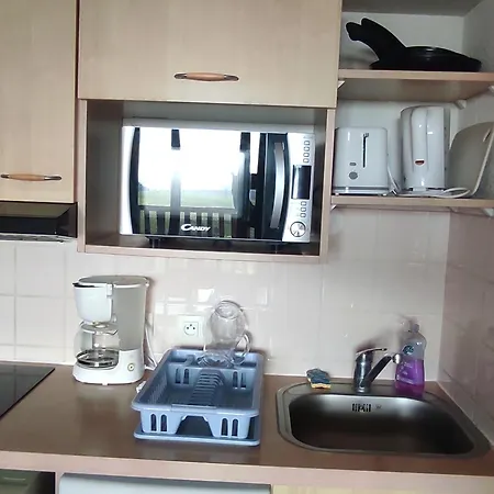 Apartment Spacieux A Super-besse Avec Terrasse Et Garage - Fr-1-814-147