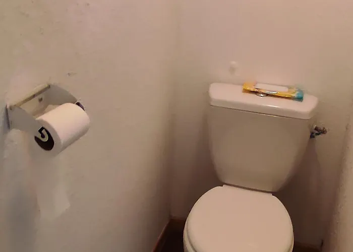 Spacieux A Super-besse Avec Terrasse Et Garage - Fr-1-814-147 Apartment *