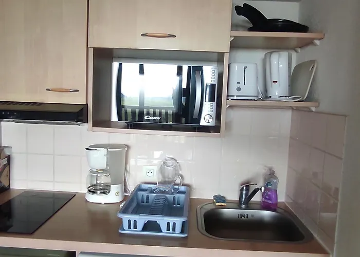 Apartment Spacieux A Super-besse Avec Terrasse Et Garage - Fr-1-814-147