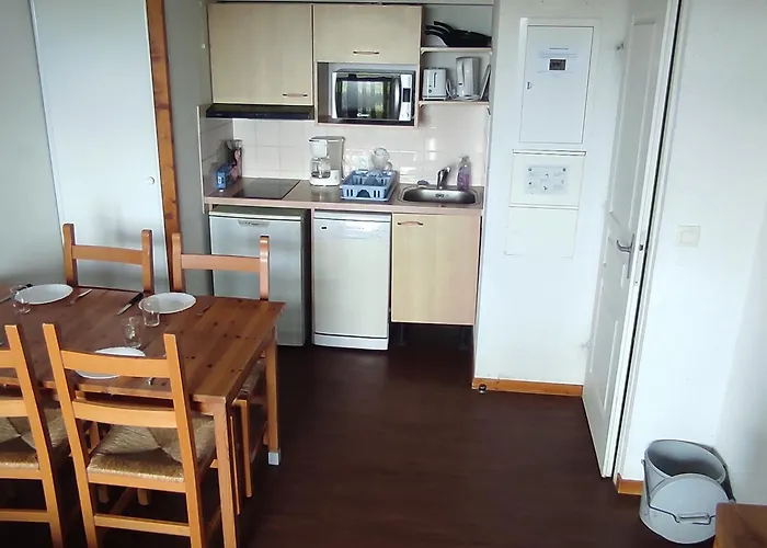 Spacieux A Super-besse Avec Terrasse Et Garage - Fr-1-814-147 Apartment